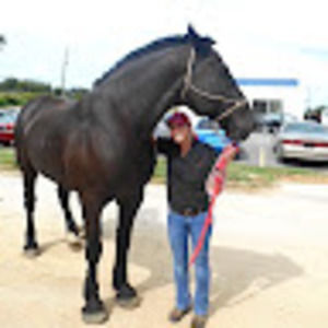 Meet your Posher, Kelsey